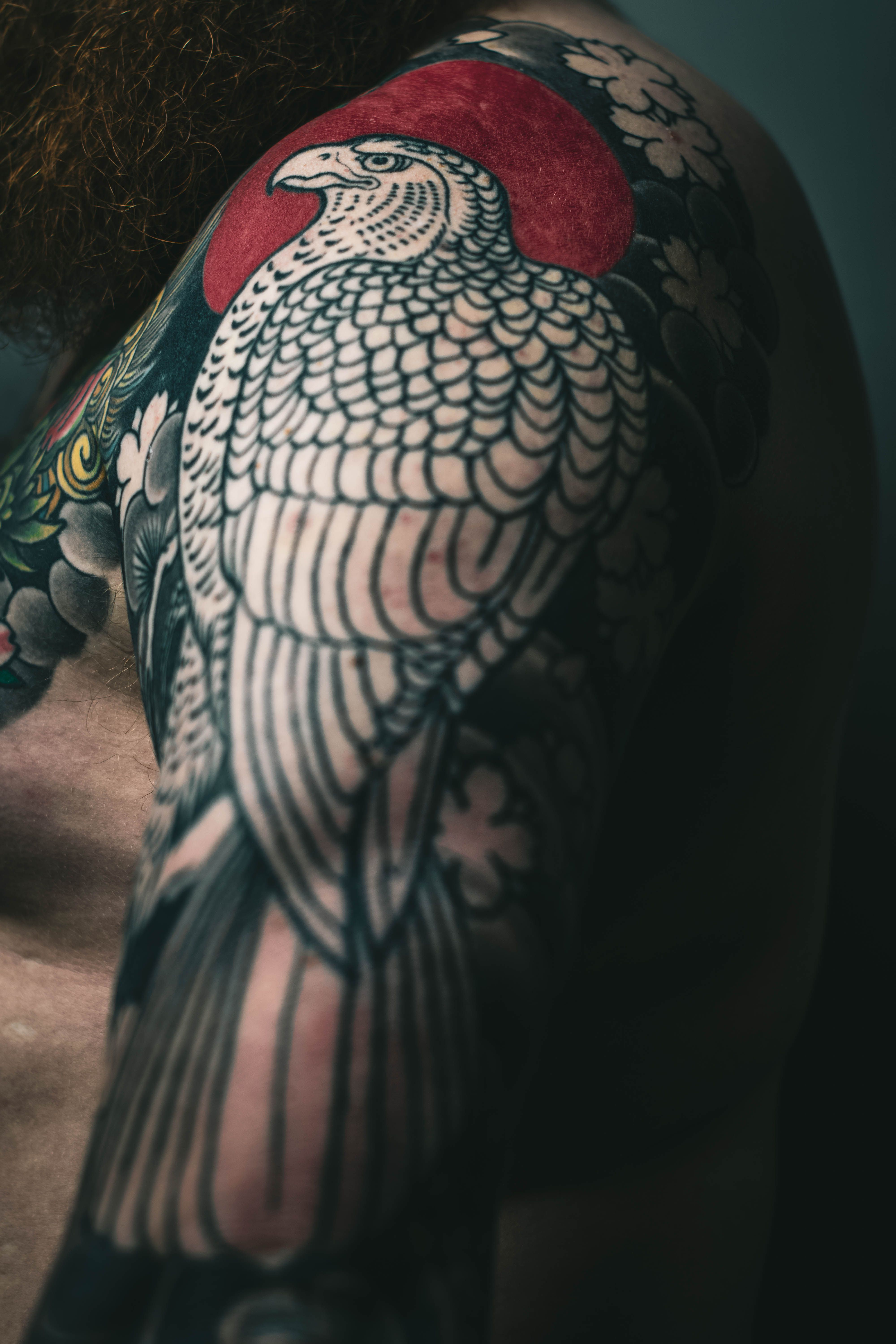 Falcão japonês no ombro com sol vermelho e sakura em estilo irezumi